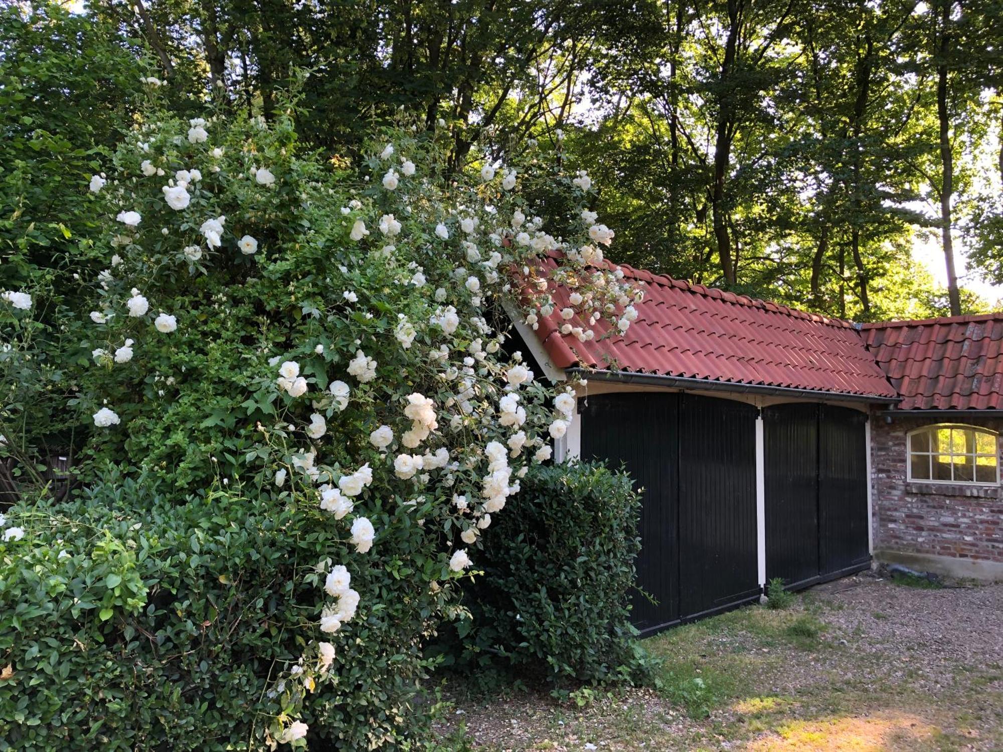 De Zeilende Kraay Katwijk Exterior foto